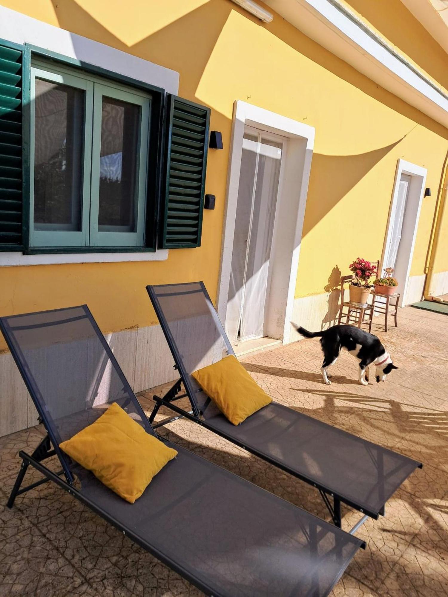 Casina Al Castello - Natura E Relax Castel Del Monte  Exteriér fotografie