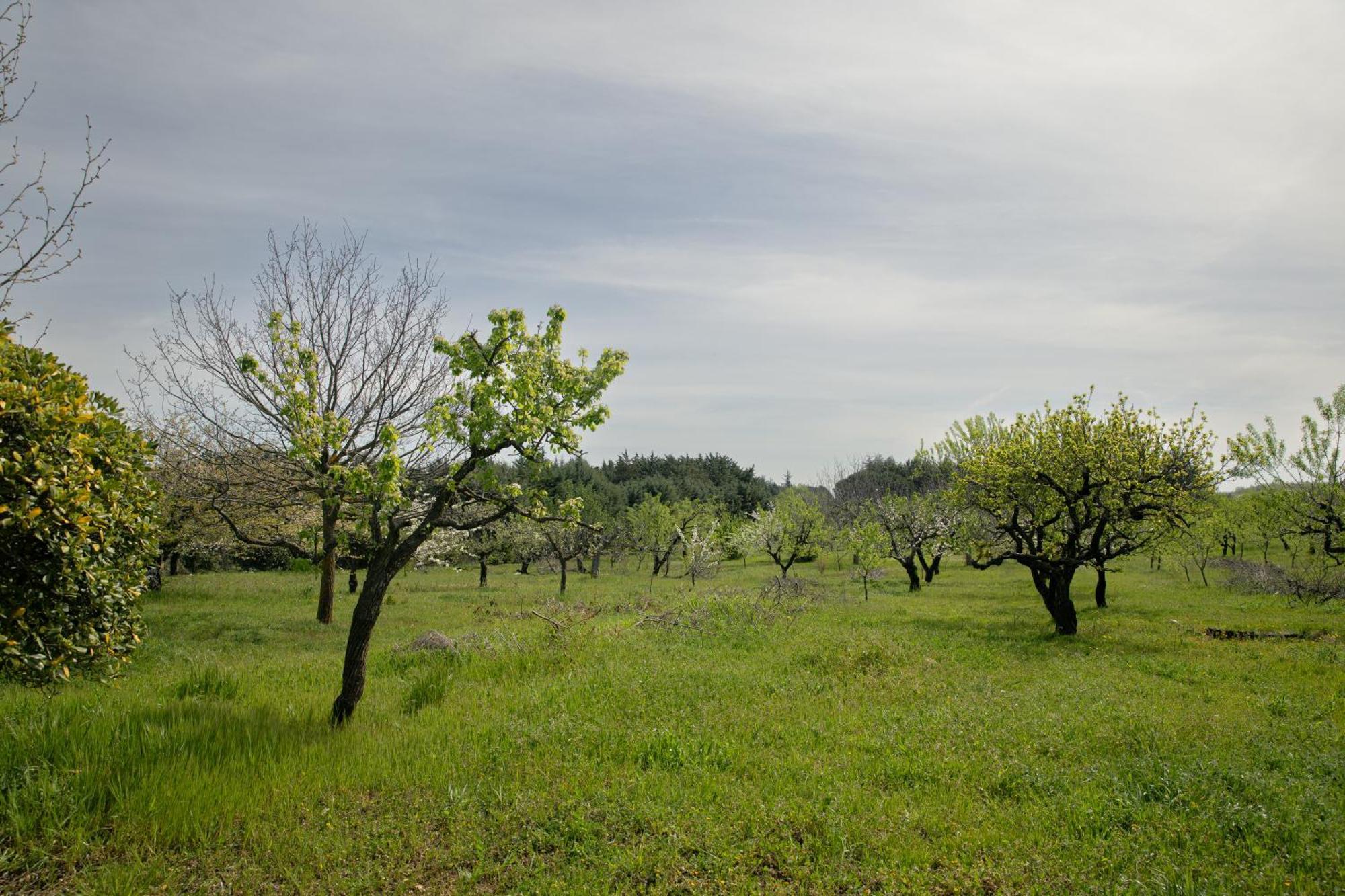 Casina Al Castello - Natura E Relax Castel Del Monte  Exteriér fotografie